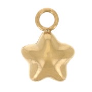 Dije de estrella de 5,5 mm - Acero inoxidable 304L Dorado x1|raw }}