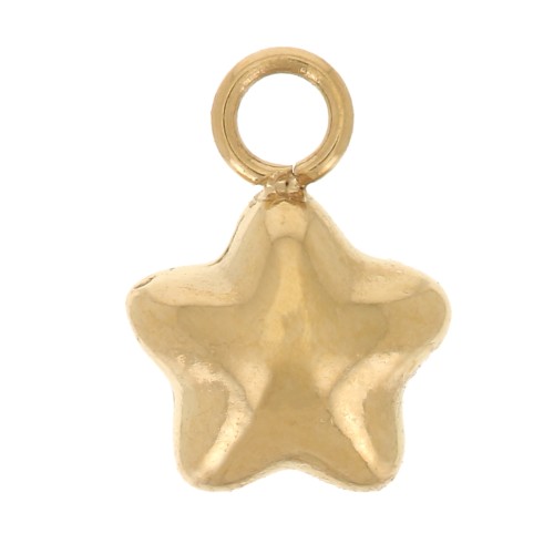 Dije de estrella de 5,5 mm - Acero inoxidable 304L Dorado x1