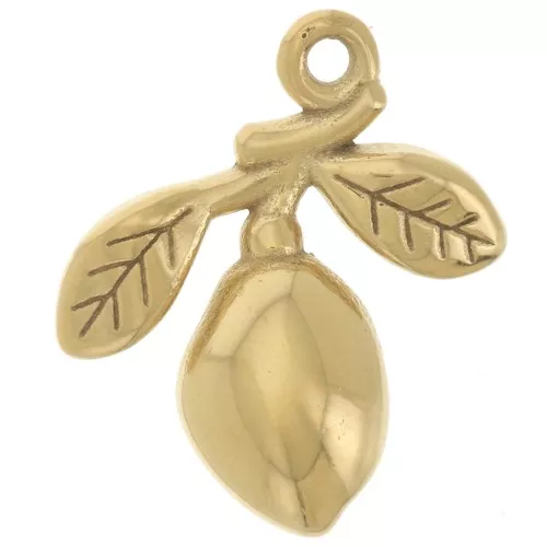 Dije aceituna y rama 14x12 mm - Acero inoxidable 304L Dorado x1