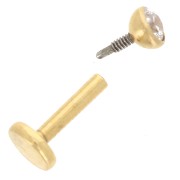 Piercing redondo de óxido de circonio de 3 mm - Acero inoxidable Dorado 316 x1