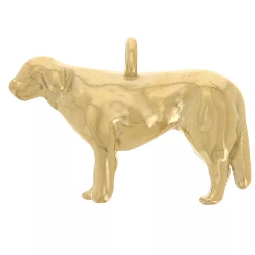 Dije Perro Golden 13x20 mm - Acero inoxidable 304L Dorado x1