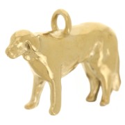 Dije Perro Golden 13x20 mm - Acero inoxidable 304L Dorado x1
