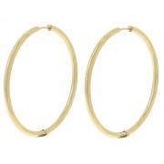 Pendientes de aro redondo de 45 mm - del hilo de 2,5 mm - Acero inoxidable 304L Dorado x2|raw }}