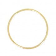 Anilla 22mm Gold filled x1