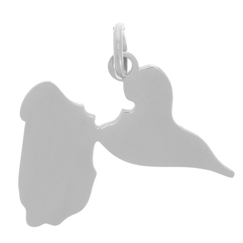 Colgante Guadalupe 14x19 mm - Acero inoxidable 304L x1