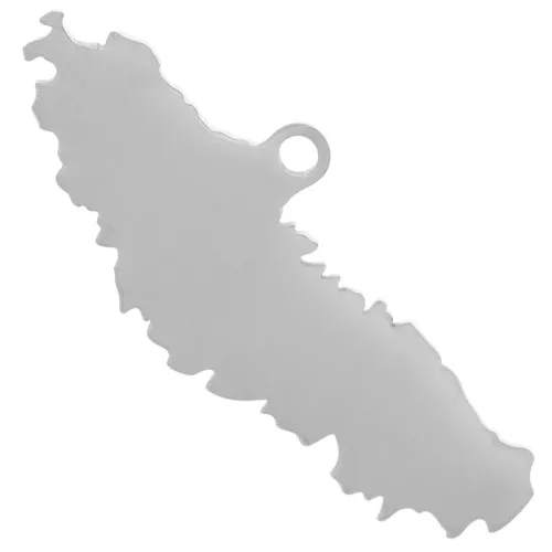 Colgante Nueva Caledonia 8x20 mm - Acero inoxidable 304L x1