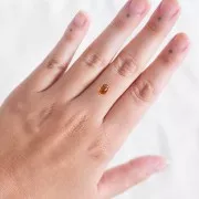 Citrino ovalado natural - 7x5,1 mm x1