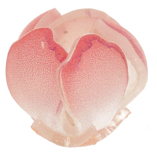 Cuenta flor de plástico 14 mm - Rojo claro x1