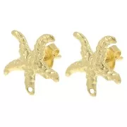 Ganchos pendientes Estrella de Mar 14 mm - Dorado x2