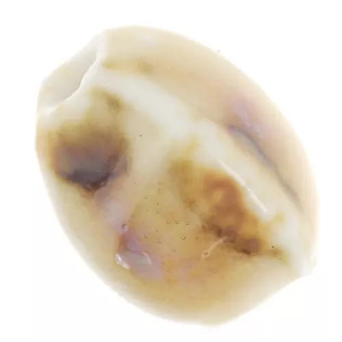 Cuentas ovaladas de cerámica 13x9 mm - Beige - Crudo jaspeado x10