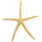 Colgante Estrella de Mar 51x46 mm - Dorado con oro fino x1