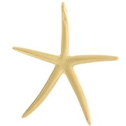 Colgante Estrella de Mar 51x46 mm - Dorado con oro fino x1