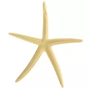 Colgante Estrella de Mar 51x46 mm - Dorado con oro fino x1
