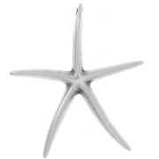 Colgante Estrella de Mar 51x46 mm - Chapado plateado fino envejecido x1|raw }}
