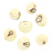 Semillas acai de Brásil 8 mm Natural x 10