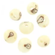 Semillas acai de Brásil 8 mm Natural x 10