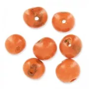 Semillas acai de Brásil 8 mm Naranja x 10
