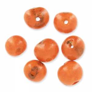 Semillas acai de Brásil 8 mm Naranja x 10