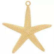 Colgante estrella de mar con textura 61x57 mm - Dorado con oro fino x1