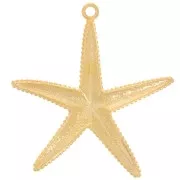 Colgante estrella de mar con textura 61x57 mm - Dorado con oro fino x1