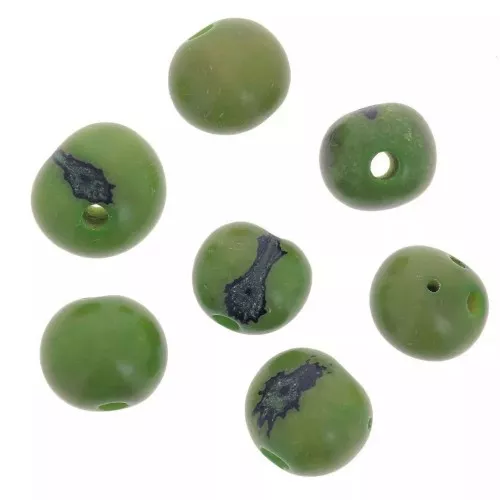 Semillas acai de Brásil 8 mm Verde x 10