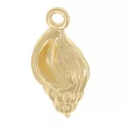 Dije de concha 19x9 mm - Dorado con oro fino x1