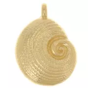 Colgante Concha 23x17 mm - Dorado con oro fino x1