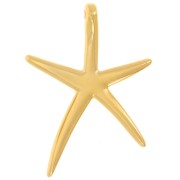 Colgante Estrella de Mar 52x37mm con resina epoxi Dorado con oro fino - Blanco Nacarado x1