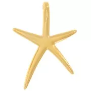 Colgante Estrella de Mar 52x37mm con resina epoxi Dorado con oro fino - Blanco Nacarado x1