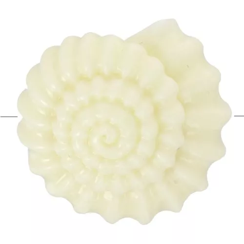 Cuenta de concha de plástico de 22 mm - Crudo x1