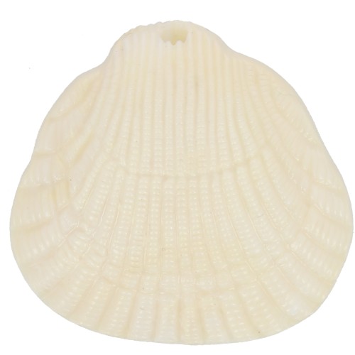 Colgante de resina de concha 34x36 mm - Crema jaspeado x1