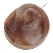 Cuenta de concha de resina 12 mm - Jaspeado Marrón claro - Marrón oscuro x5