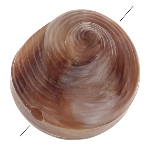 Cuenta de concha de resina 12 mm - Jaspeado Marrón claro - Marrón oscuro x5