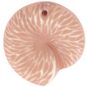 Colgante de concha de 21 mm en resina opaca - Marrón claro x1