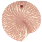 Colgante de concha de 21 mm en resina opaca - Marrón claro x1