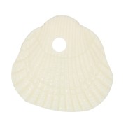 Conchas de lentejuelas 10x10,5 mm en resina opaca - Crudo x6|raw }}