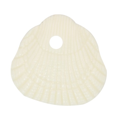 Conchas de lentejuelas 10x10,5 mm en resina opaca - Crudo x6