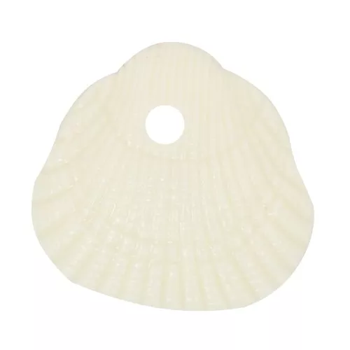 Conchas de lentejuelas 10x10,5 mm en resina opaca - Crudo x6