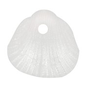 Conchas de lentejuelas 10x10,5 mm en resina opaca - Blanco nacarado x6