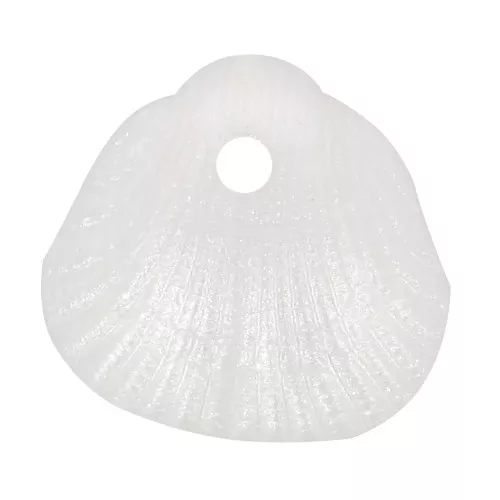 Conchas de lentejuelas 10x10,5 mm en resina opaca - Blanco nacarado x6