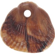 Lentejuelas conchas 17x18 mm resina opaca - Jaspeado Marrón claro - Marrón oscuro x4