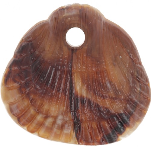 Lentejuelas conchas 17x18 mm resina opaca - Jaspeado Marrón claro - Marrón oscuro x4