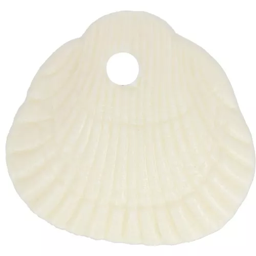Conchas de lentejuelas 17x18 mm en resina opaca - Crudo x4