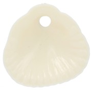 Conchas de lentejuelas 17x18 mm en resina opaca - Crudo x4