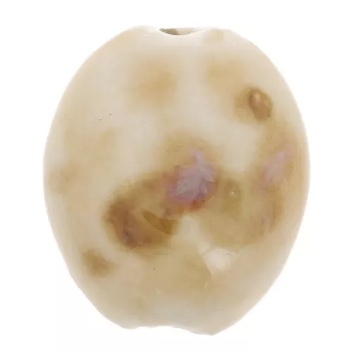 Cuenta con forma de oliva de cerámica 21x18 mm - Beige - Marrón jaspeado x4