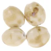 Cuenta con forma de oliva de cerámica 21x18 mm - Beige - Marrón jaspeado x4