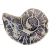 Perla de concha de cerámica 40x31 mm - Marrón oscuro - Jaspeado azul y beige x1