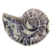 Perla de concha de cerámica 40x31 mm - Marrón oscuro - Jaspeado azul y beige x1