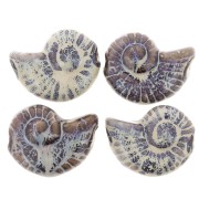 Perla de concha de cerámica 40x31 mm - Marrón oscuro - Jaspeado azul y beige x1