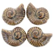 Perla de concha de cerámica 40x31 mm - Marrón x1